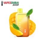 ELF-BAR-Raya-D1-13000-Puffs-50mg-Nicotine-Double-Mango