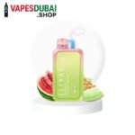 ELF-BAR-Raya-D1-13000-Puffs-50mg-Nicotine-Watermelon-Honeydew
