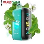 ELF-BAR-Raya-D3-25000-Puffs-50MG-Disposable-Vape-Alpine-Mint