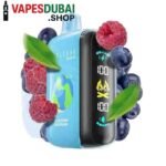 ELF-BAR-Raya-D3-25000-Puffs-50MG-Disposable-Vape-Blueberry-Raspberry