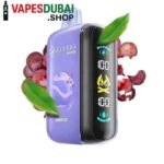 ELF-BAR-Raya-D3-25000-Puffs-50MG-Disposable-Vape-Grape-Ice