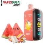 ELF-BAR-Raya-D3-25000-Puffs-50MG-Disposable-Vape-Watermelon-Bubble-Gum