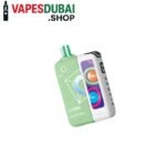 Elf-Bar-ew-premium-25000-Puffs-50mg-Nicotine-Double-Mint