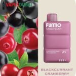 FUMMO Magnum 8000 Puffs 2_ Nicotine Disposable Vape Blackcurrant cranberry