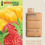 FUMMO Magnum 8000 Puffs 2_ Nicotine Disposable Vape Double Apple Shisha