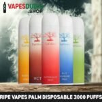 RIPE VAPES Palm Disposable 3000 Puffs
