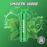 SMOOTH 10000 Puffs 20MG Disposable Vape in Dubai Peppermint