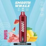 SMOOTH Whale 2% & 5% 12000 Puffs Vape in Dubai Mango Watermelon