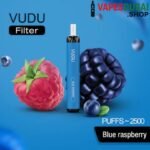 VUDU Filter 2500 Puffs 5% Disposable Vape Blue Raspberry