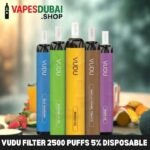 VUDU Filter 2500 Puffs 5% Disposable Vape