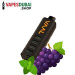 Vaal Cyber Shisha DTL 50000 Puffs 5mg Nicotine Grape Mint