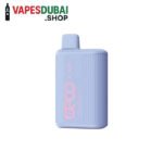BECO Soft 6000 puffs 20MG Disposable Vape Blueberry Ice