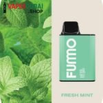 Fummo King 6000 Puffs 2_ nicotine Rechargeable Disposable Vape Fresh Mint