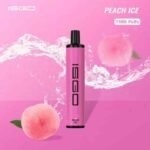 ISGO Paris 1500 Puffs Disposable Vape in Dubai Peach Ice