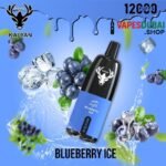 KALYAN Pro 12000 Puffs 50MG Disposable Vape In Dubai Blue Berry Ice