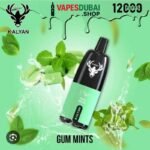 KALYAN Pro 12000 Puffs 50MG Disposable Vape In Dubai Gum Mint