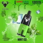 KALYAN Pro 12000 Puffs 50MG Disposable Vape In Dubai MINT ICE