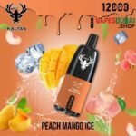 KALYAN Pro 12000 Puffs 50MG Disposable Vape In Dubai Peach Mango Ice