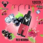 KALYAN Pro 12000 Puffs 50MG Disposable Vape In Dubai Red Mamba