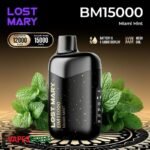 Lost Mary BM15000 Puffs Disposable Vape 50mg In Dubai Miami Mint