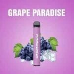 MASKKING High GT Disposable Vape in Dubai Grape Paradise