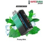 OXBAR Magic Maze 2 disposable 30000 Puffs In Dubai Frosty Mint