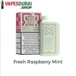 POD SALT Nexus 6000 Puffs 20mg Disposable Vape in Dubai Fresh Raspberry Mint