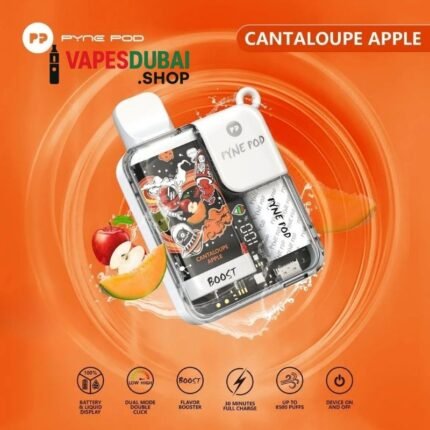 Pyne Pod Boost 8500 Puffs 5% In Dubai Apple Cantaloupe