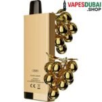 SIKARY FIT 12000 Puffs Disposable Vape 20mg_ml nicotine In Dubai Black Grape