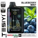 TESIYI ULTRA MAX 40000 Puffs Disposable Vape 50MG In Dubai Blueberry Mint