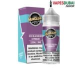 VAPETASIA Salt Nicotine 30ML Vape Juice 24MG and 48MG E-Liquid in Dubai Iced Blackberry Lemonade