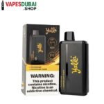YALLA 24000 Puffs 50MG Nicotine disposable vape In Dubai Cantaloupe – Cantaloupe Ice