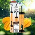 HoQa Hok clouds 80k puffs 5% nicotine shisha based vape In Dubai Mango
