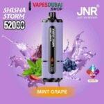 JNR Shisha Storm 52000 Puffs Disposable Vape 2% DTL in the UAE MINT GRAPE